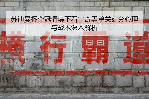 su-di-man-bei-duo-guan-qing-jing-xia-shi-yu-qi-nan-dan-guan-jian-fen-xin-li-yu-zhan-shu-shen-ru-jie-xi-3-666.jpg